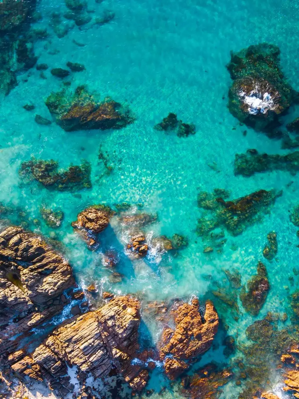 Cala Tango