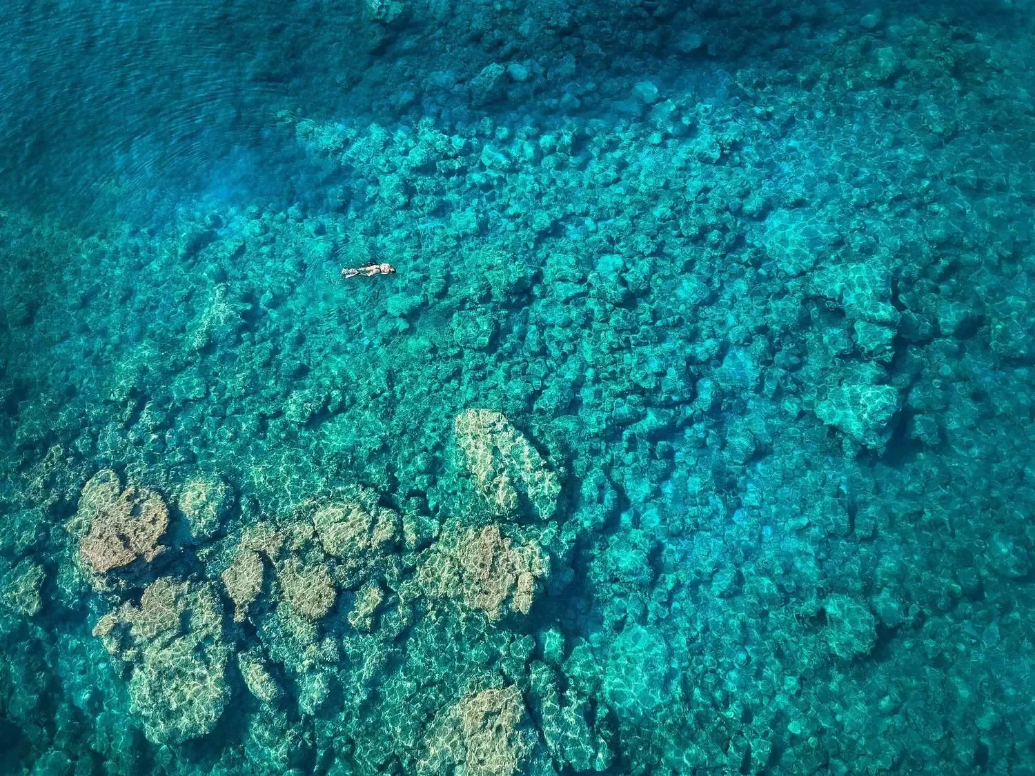 Cala Tango